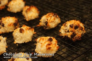 Chocolate Chip Macaroons