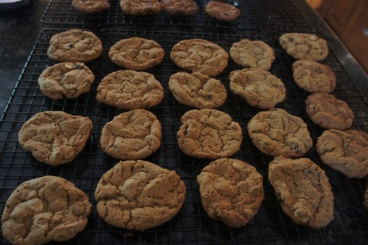 Peanut Butter Chocolate Chip Truffle Cookies - Gluten Free Peanut Butter Chocolate Chip Truffle Cookies - Gluten Free