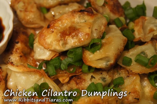 Chicken Cilantro Dumplings