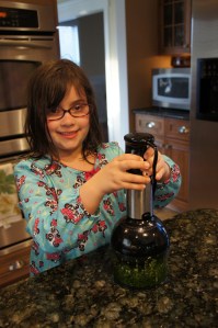 Seared Scallop and Shrimp Salad Bowl Prep