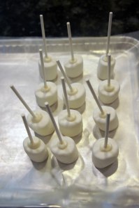 Marshmallow LolliPops