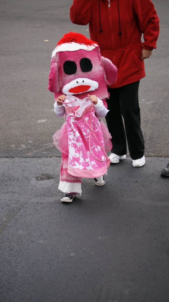 Sock Monkey Costumes