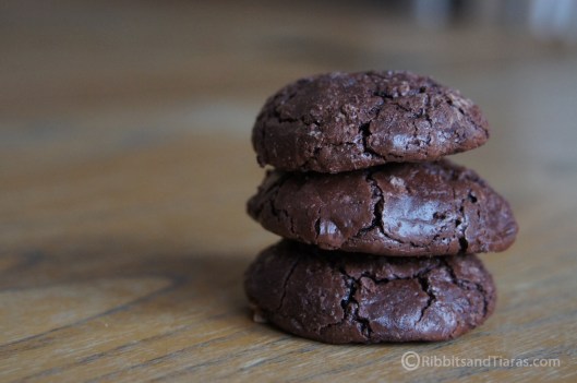 Flourless Chewy Chocolate Cookies
