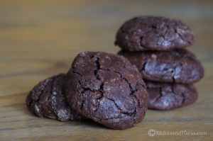 Flourless Chewy Chocolate Cookies