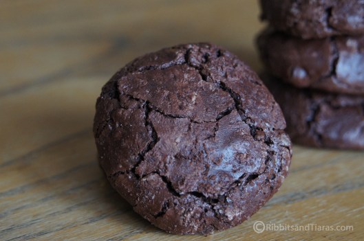 Flourless Chewy Chocolate Cookies