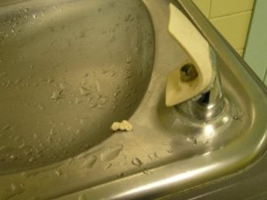 gum-in-the-water-fountain